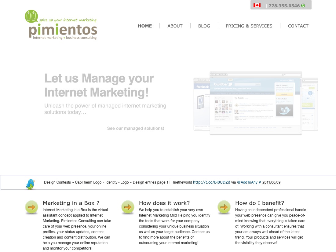 The Pimientos Consulting website as archived in August 2011